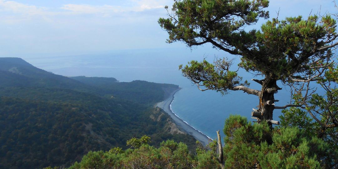Курганы в горах