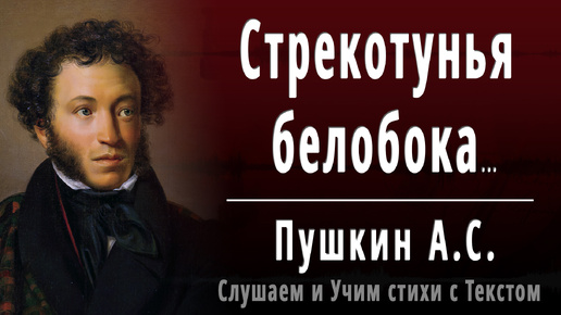 А.С. Пушкин - Стрекотунья белобока... - Слушаем аудио стихи с текстом