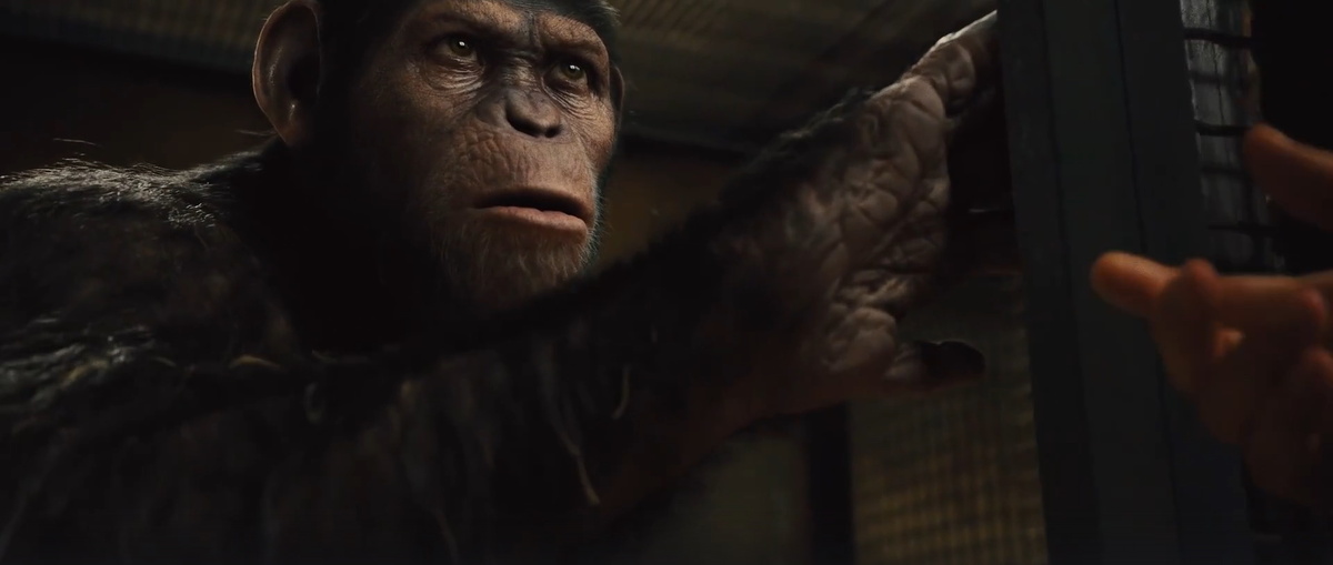 Кадр из фильма