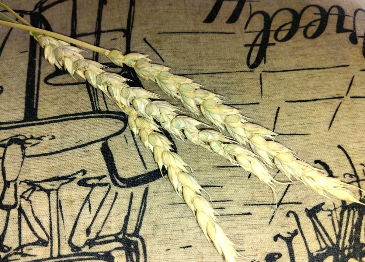 Фото: АПК Новости