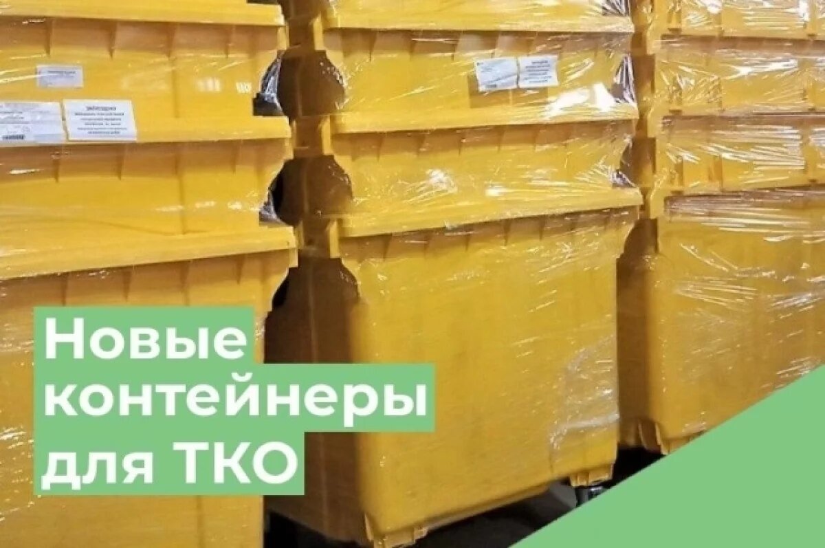    Ульяновская область получит субсидию на закупку контейнеров для ТКО
