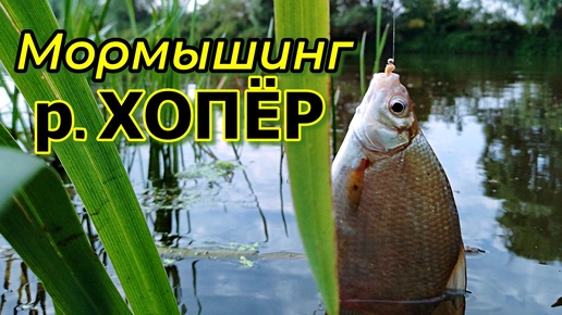 На Хопре с мормышкой. Отличный день.