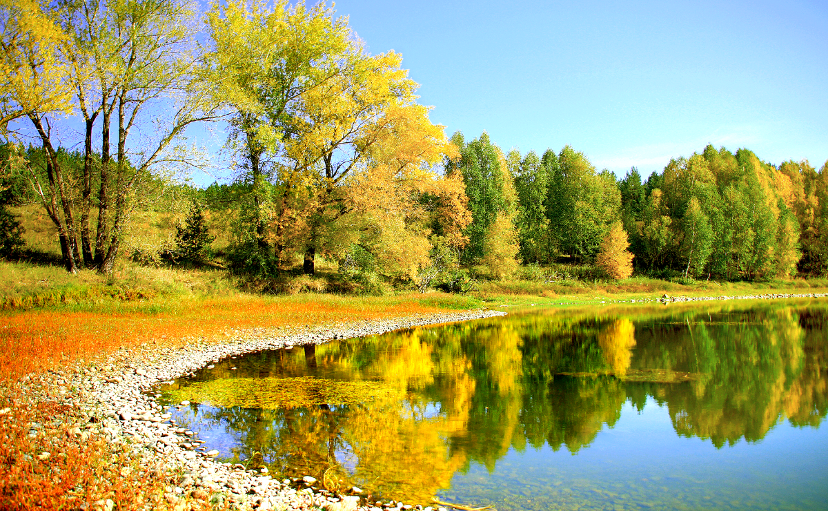 Фотография, стихотворение Василия Глуцкого