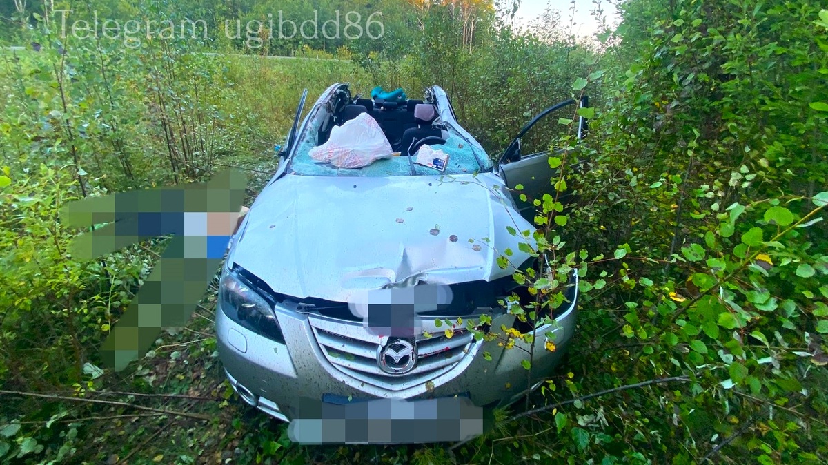    ДТП с животным на трассе в Ханты-Мансийском районе привело к гибели людей