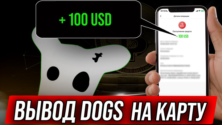 Как вывести с хамстер комбат