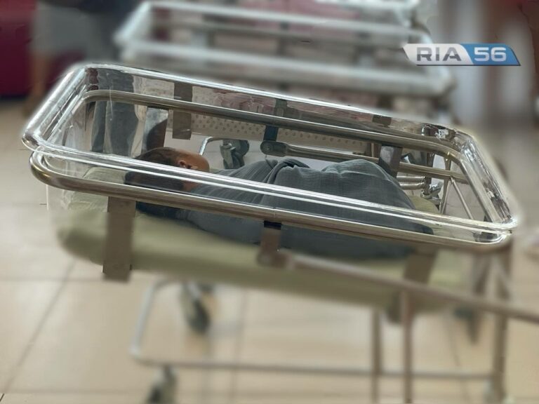    Леон, Камо и Идона. В Оренбурге за неделю родились 112 малышей Кристина Просвиркина