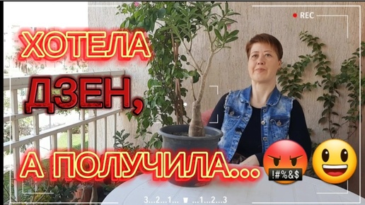 АДЕНИУМЫ🥰. Часть 3️⃣. ПРОДОЛЖАЮ ПЕРЕСАДКУ новичков в свой грунт. Август 2024.