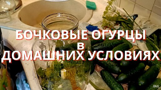 Огурцы по-корейски быстрого приготовления — рецепт с фото пошагово + отзывы