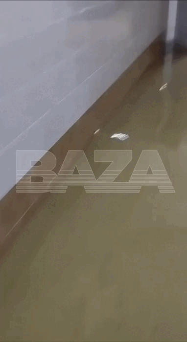    видео: t.me/bazabazon