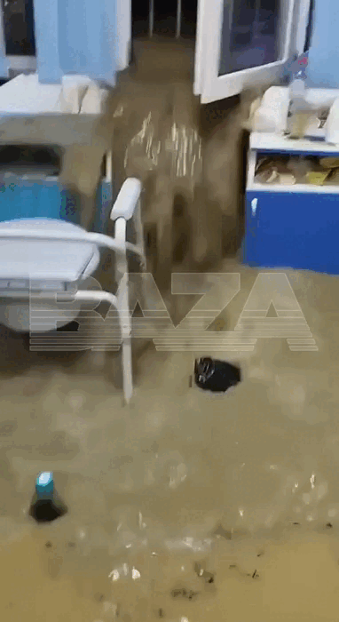    видео: t.me/bazabazon