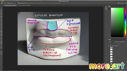 Как нарисовать губы и уши человека? / Курс «Рисование в Photoshop для начинающих» от more-art.ru