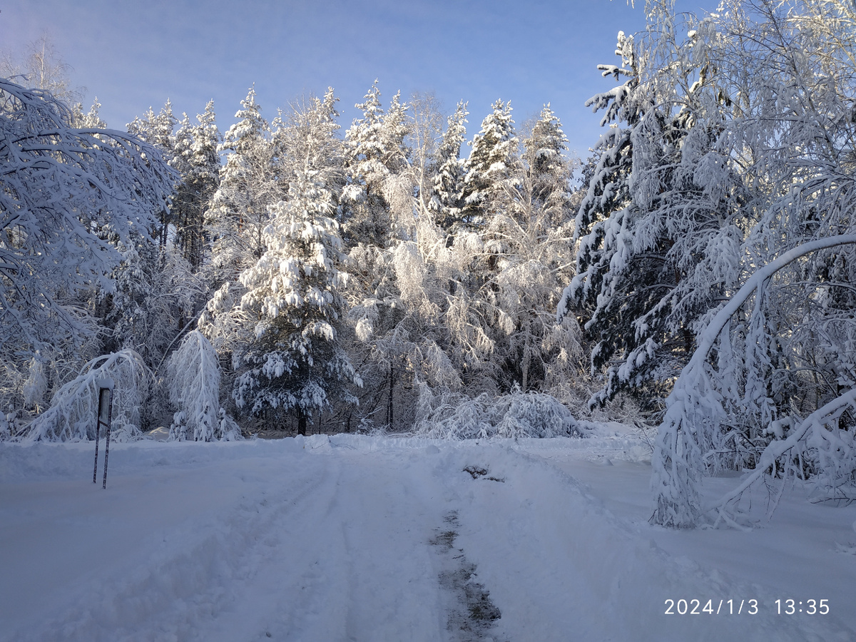 Долго думали, а какой поставить снимок? Было много вариантов и выбрали экстремальный. Показов в Дзене мало, а вдруг погода поможет. Вы на это фото зашли и вам уже интересно? 