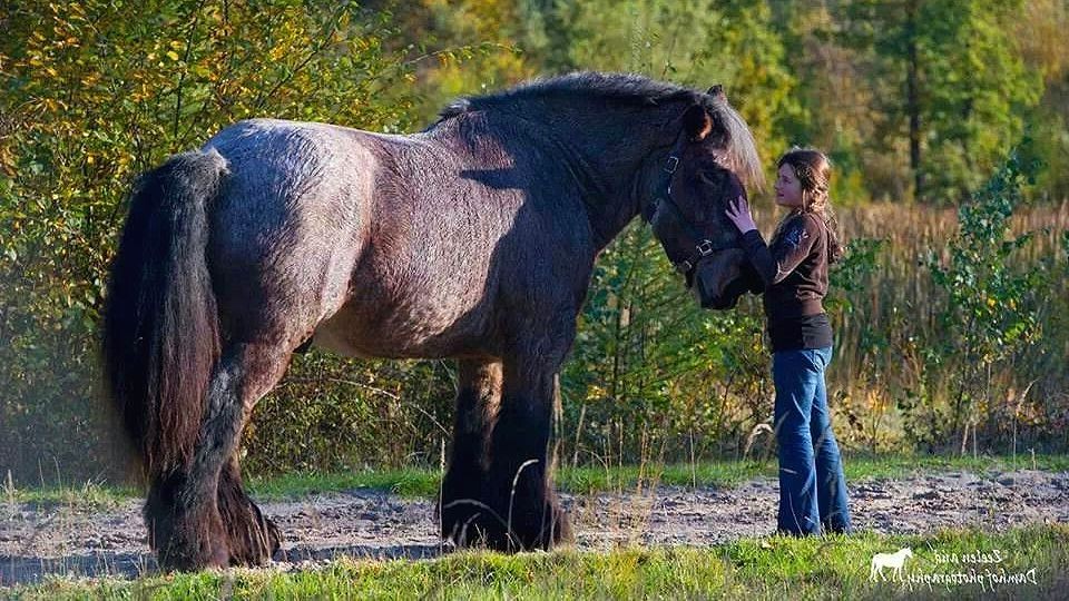Кто тут у нас такой маленький брабансончик?