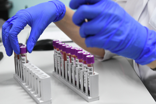 Фото: РИА Новости/Александр Кряжев