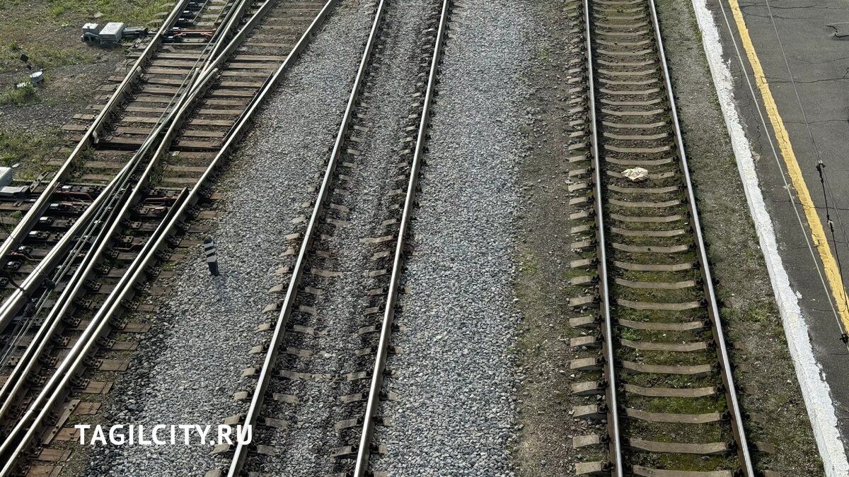     Источник: tagilcity.ru