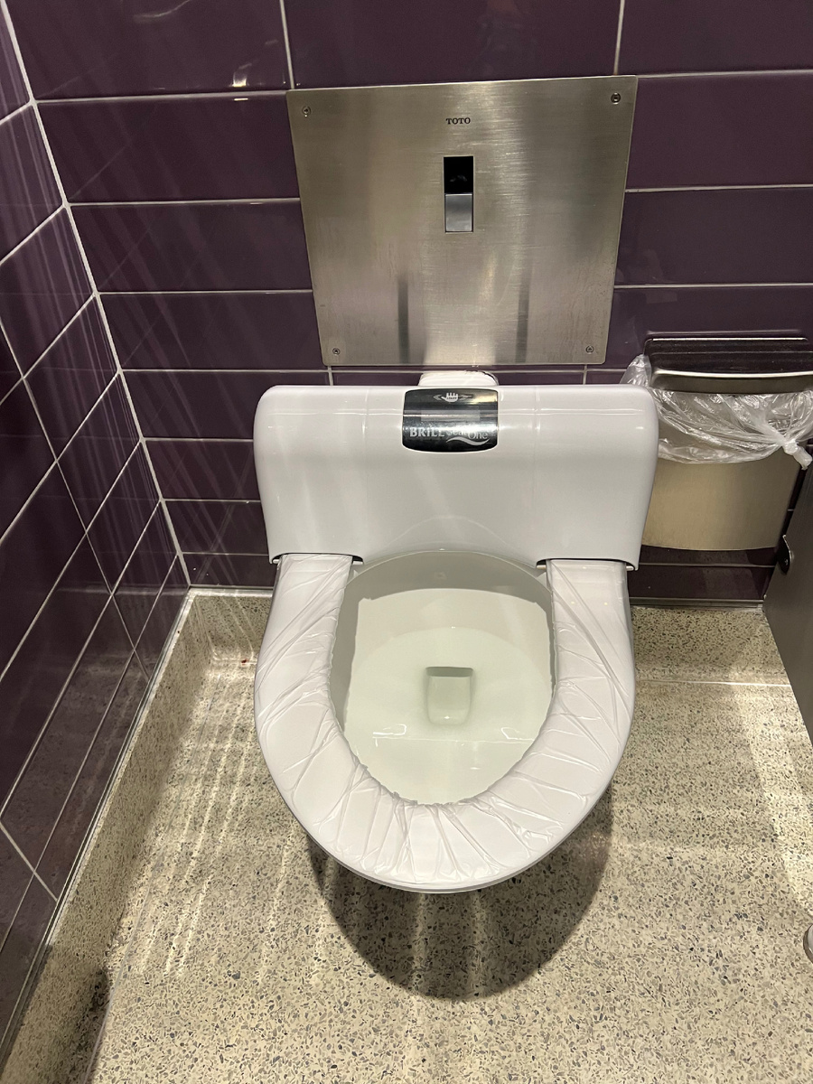 Американский унитаз с большим количеством воды. Фотография из личного архива. 