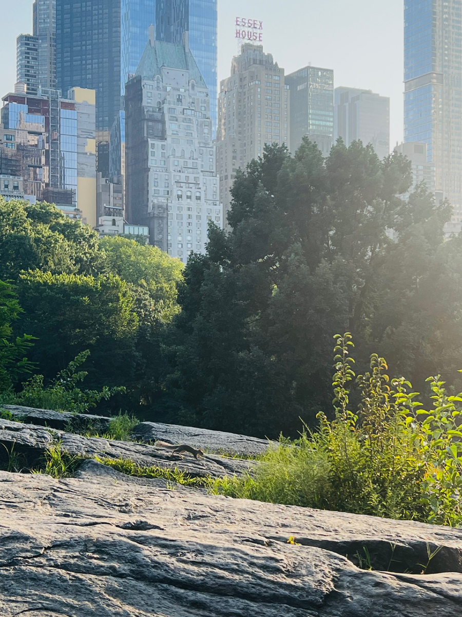 Вид на Манхетен и Манхетоновский сланец. Фотография из личного архива. 