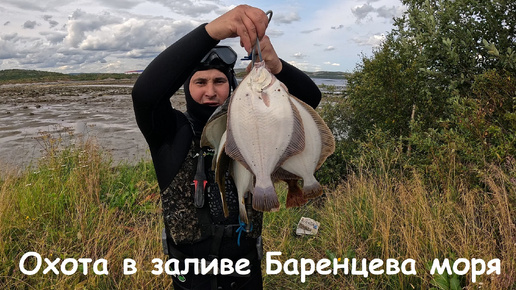 Скачать видео: ВОДА КРИСТАЛЬНАЯ / КАМБАЛЕ НЕ УЙТИ