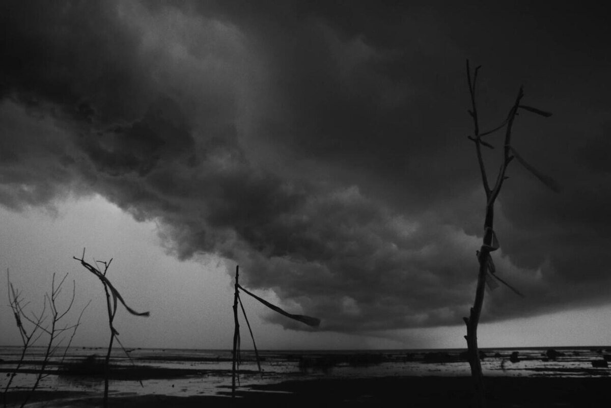 «Вдохновение». Фото: кадр из фильма