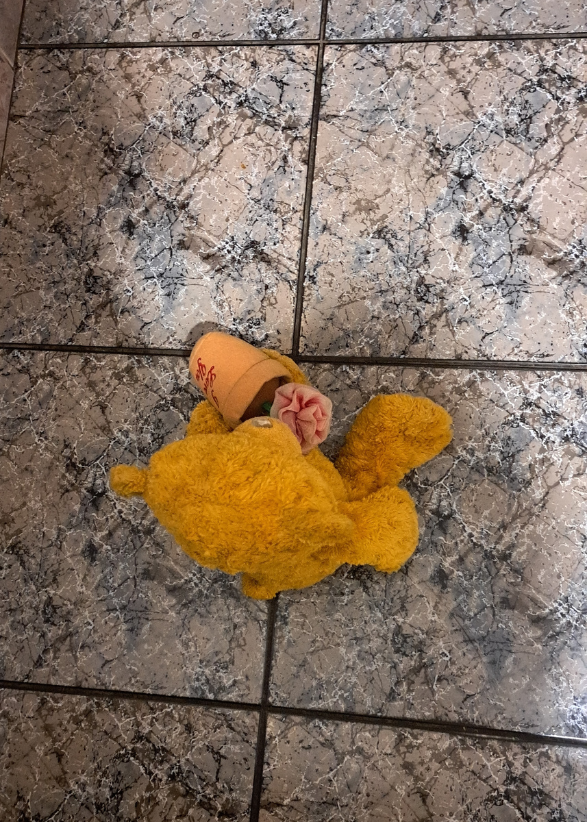 Фото автора.