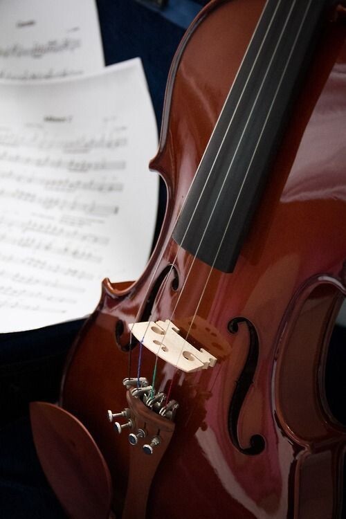 Картинка взята на просторах интернета