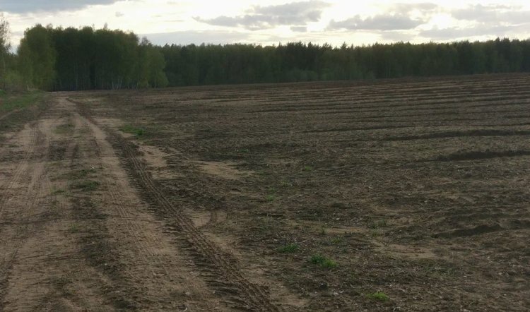    В Рязанской области набирает темп озимый сев под урожай 2025