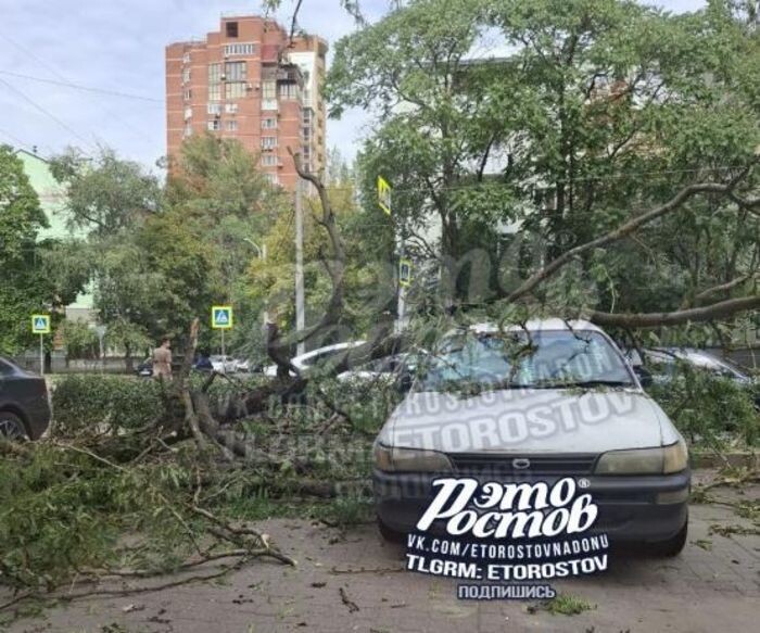 Источник фото: "Это Ростов" vk.com