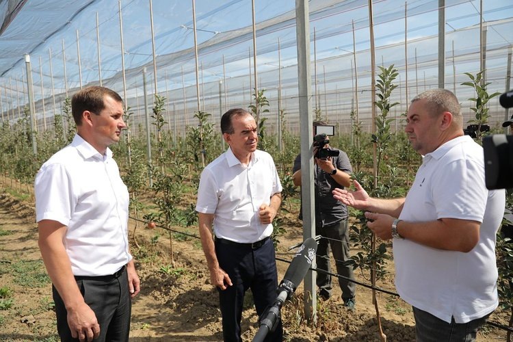    Суперинтенсивный сад в 20 га дает столько же урожая как интенсивный сад в 100 гектаров