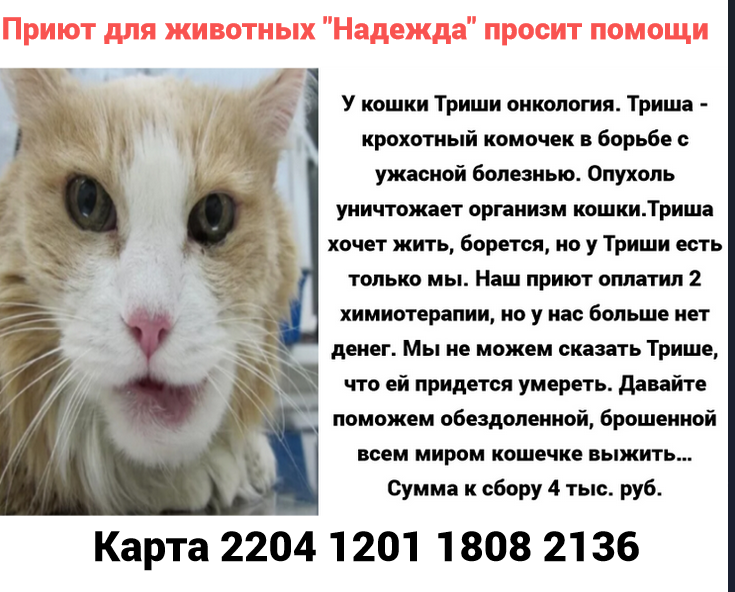 Будет ли мобилизация из за курской. Мобилизация фото. Курск частичная мобилизация. Мобилизация курск. Мобилизация курск.