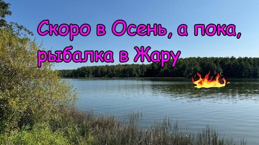 Спиннинг в Обед. Рыбалка по колено. Прекрасное место. Гибкий Спиннинг.