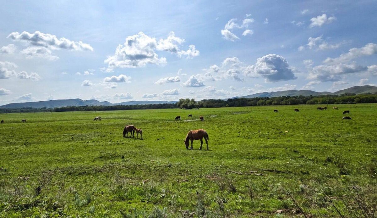  📷    На оренбургском участке «Большой уральской тропы» продолжается маркировка Белов Михаил Александрович