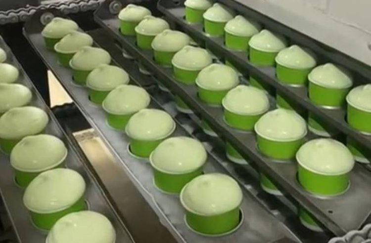    Ставропольские производители мороженого вышли на сладкий рекорд