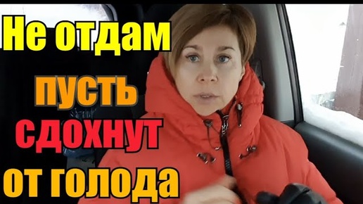 Не знаю как быть》Лечу Гамлета》Дела и делишки