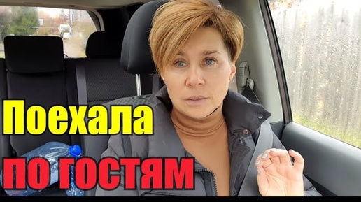 Корм Karmy для собак и кошек》Роза в моменте》Ценим тогда, когда теряем