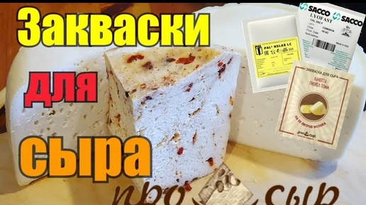 Закваски для сыра//Где купить //Как выбрать//Как доставить//На что обратить внимание