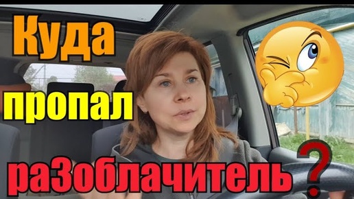 Новые питомцы//Кого держать выгодно🤔//Экскурсия по участку