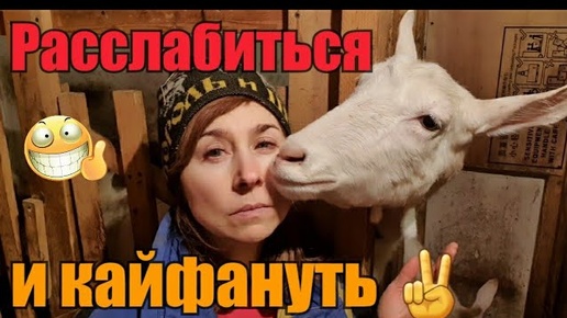 Сплю и дела не делаю//Закупаю технику//Что делать с козой?