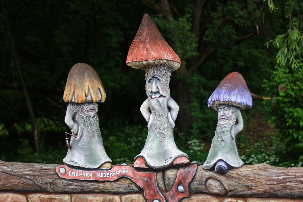 Сморчки Козельские. Фото: вихляндия.рф