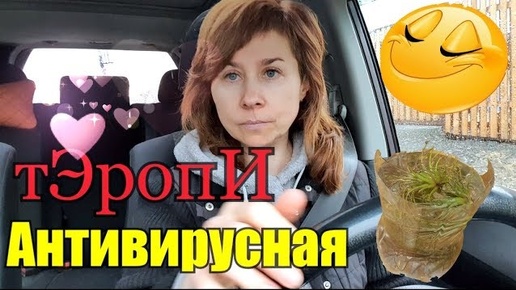 Мать св*лочь//Редкие новосЁлы//Русалочий бум//В лес ходили