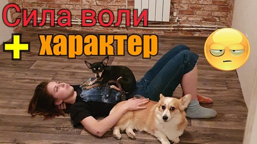 Линолеум в спальне😳//Как отправить в мир иной?//Какую породу выбрать?