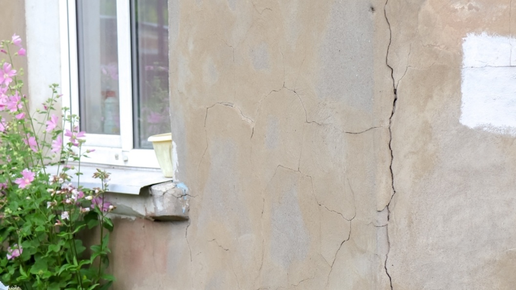    Фото: Elena Mayorova/Globallookpress