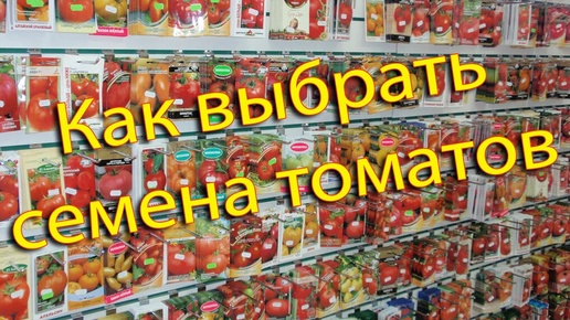 Как выбрать семена томатов и не ошибиться