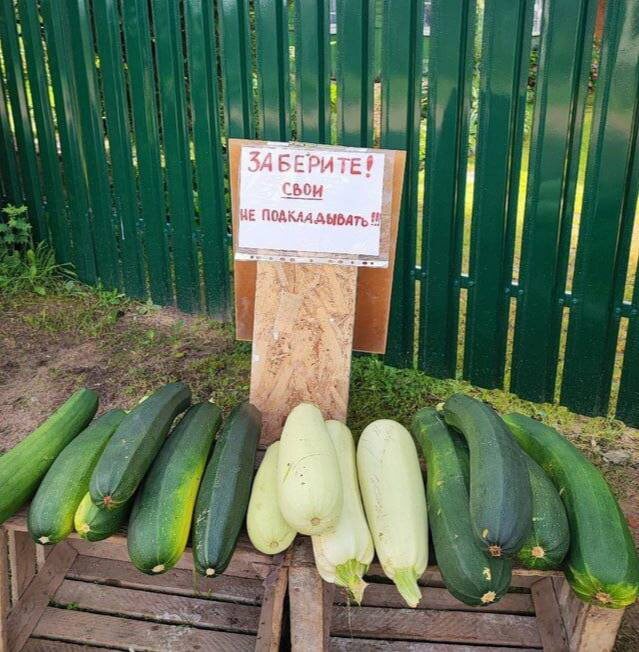 Распространённый анекдот (не мои) 