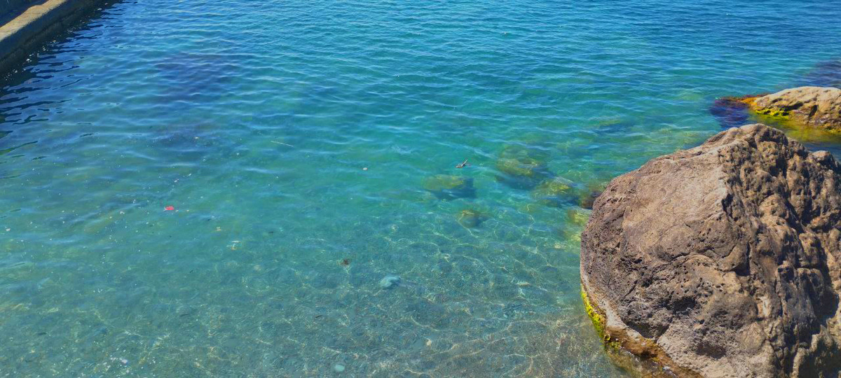 Море в июне