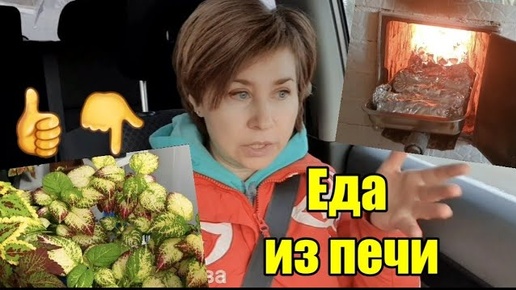 Щетка Nandmi NX 7000 (подарок в описании👇)》Паштет вкуснейший 》Пилю деревья》Еду к детям