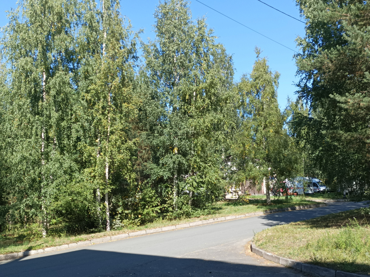 Пока у нас солнечно и ветрено, но днём тепло