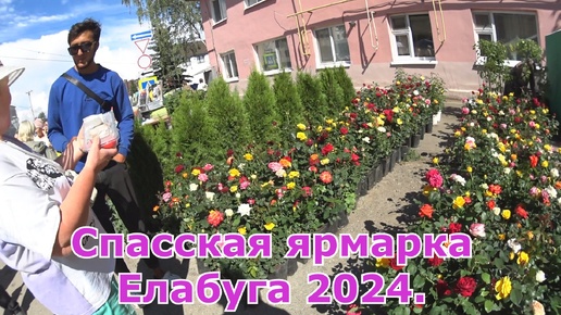 Спасская ярмарка. Море цветов. Елабуга 2024. Часть 2.