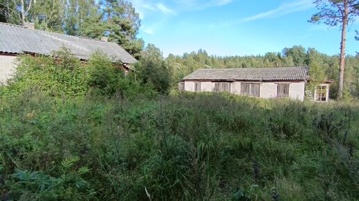 Снимаю видео в заброшенной деревни, очень много старинных домов.