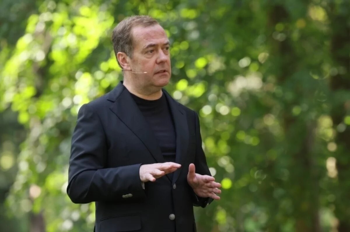    Медведев: у миграционной проблемы нет простого решения