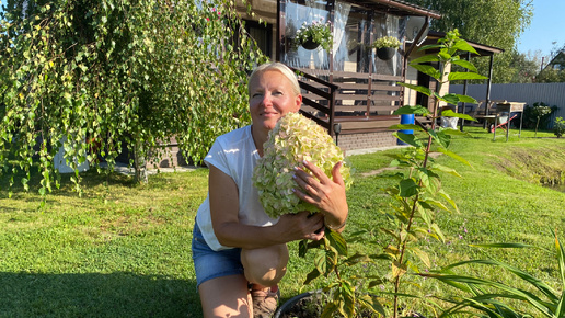 За грибами#🍄‍🟫Формирую живую изгородь#🍀Подготовка грядки для посадки усов клубники#🍓24августа2024сад#огород#дача#деревня#